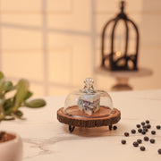Vriksha Acacia Wood Cake Stand with Glass Dome