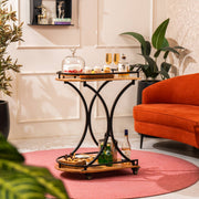 ServeSoir Multipurpose Collapsible Trolley