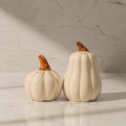 Pump & Plume Salt & Pepper Shaker Set