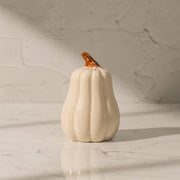 Pump & Plume Salt & Pepper Shaker Set