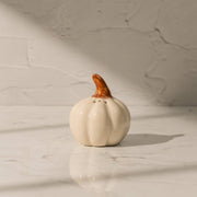 Pump & Plume Salt & Pepper Shaker Set