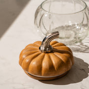 Ember Glass Jar with Airtight Acacia Wood Lid