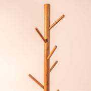 Perch Acacia Wood DIY Coat Hanger