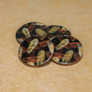 Forest Floor Coaster (Set of 4)