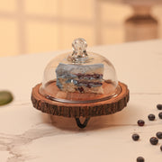 Vriksha Acacia Wood Cake Stand with Glass Dome