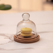 Nibble Nest Acacia Wood Cake Stand with Glass Dome