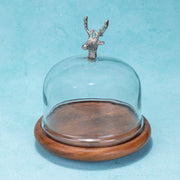 Wildood Acacia Wood Cake Stand with Glass Dome