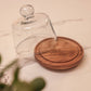 Sugar Shell Acacia Wood cake Stand with Glass Dome