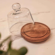 Sugar Shell Acacia Wood cake Stand with Glass Dome