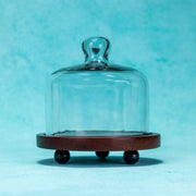 Sugary Affair Acacia Wood Cake Stand with Glass Dome
