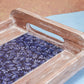 Bhojan Serving Tray
