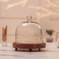 Sweet Haven Acacia Wood Cake Stand with Glass Dome