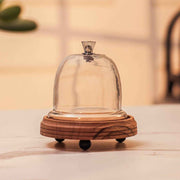 Candy Glow Acacia Wood Cake Stand with Glass Dome