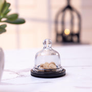 Dusk Acacia Wood Cake Stand with Glass Dome