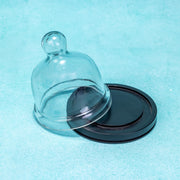 Dusk Acacia Wood Cake Stand with Glass Dome