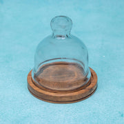 Nibble Nest Acacia Wood Cake Stand with Glass Dome