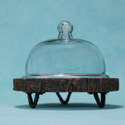 Vriksha Acacia Wood Cake Stand with Glass Dome