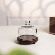 Sugary Affair Cake Cloche with Gift Box