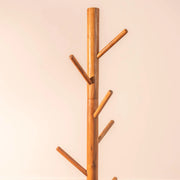 Perch Acacia Wood DIY Coat Hanger